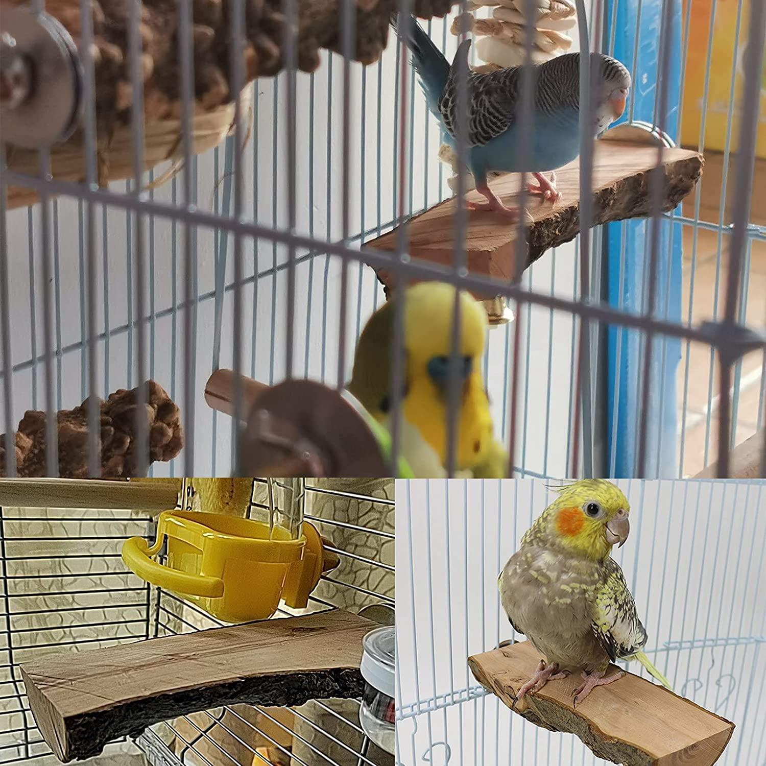 Tfwadmx Parrot Perch for Cage, 2 Pack Bird Stand Platform Natural Wood