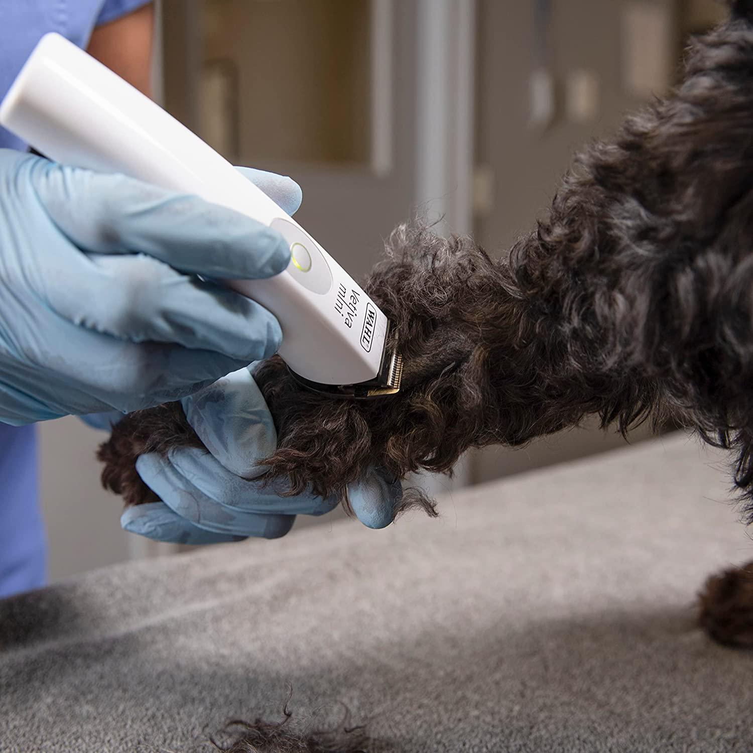 Wahl Vetiva Mini Cordless Veterinary Trimmer and Replacement Blade