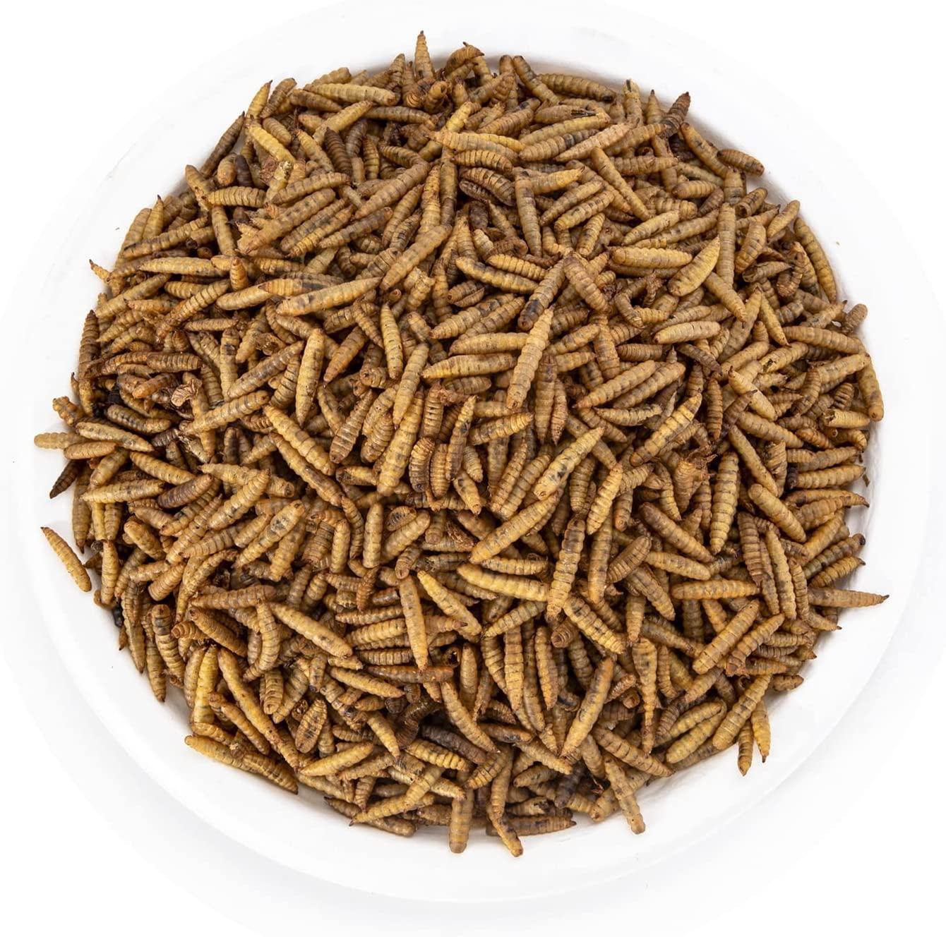 GOLDWORMS Superior to Dried Mealworms for Chickens NonGMO Dried