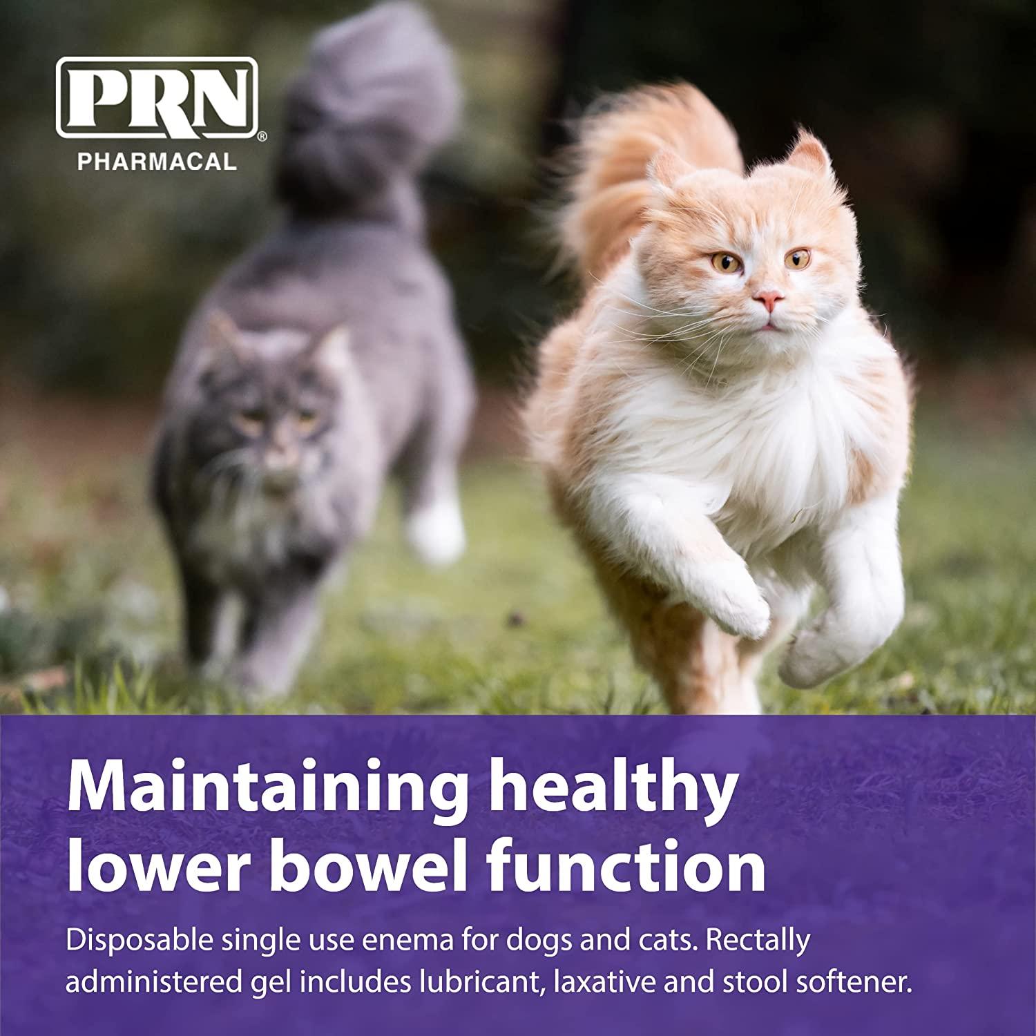 PRN Pharmacal PetEma Disposable Enema for Cats & Kittens Lubricant