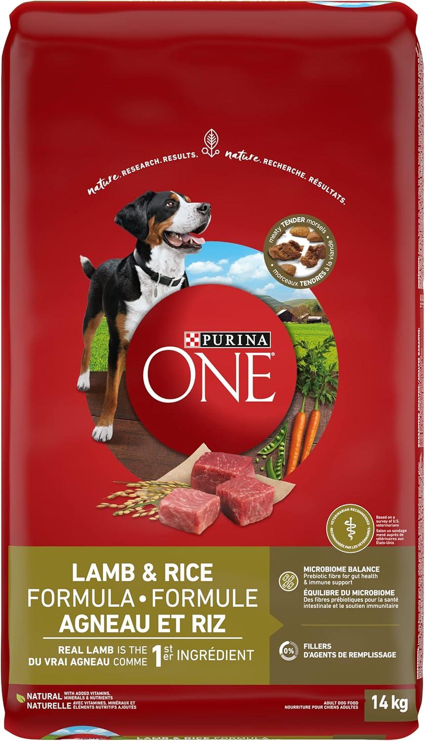 Purina ONE Smartblend Large Breed Puppy Food Natural Dry Dog