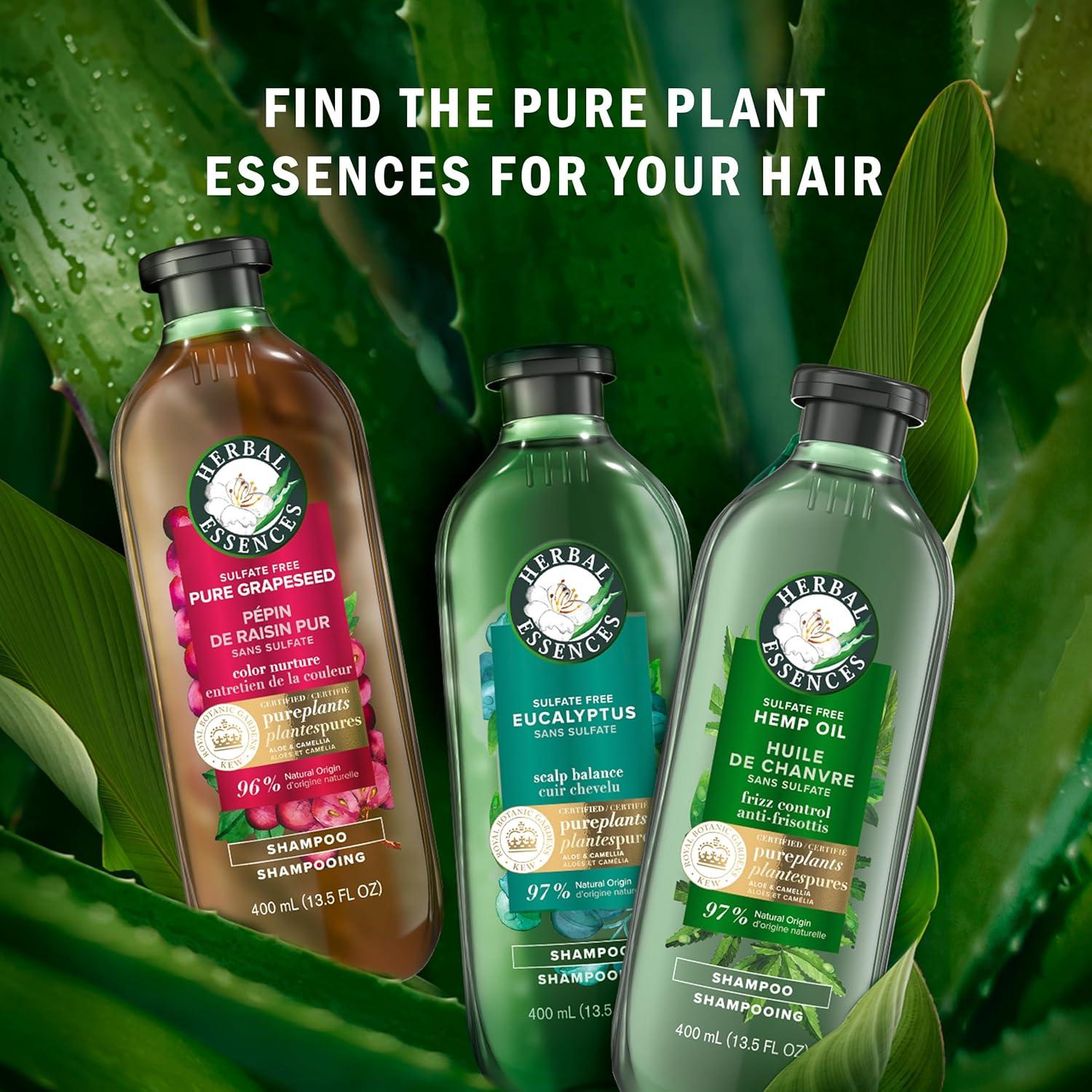 Herbal Essences Bio: Renew Aloe & Eucalyptus Conditioner - Scalp Balance  13.5 Oz | International Shipping | Buy Now with Express International  Delivery | GoSupps.com