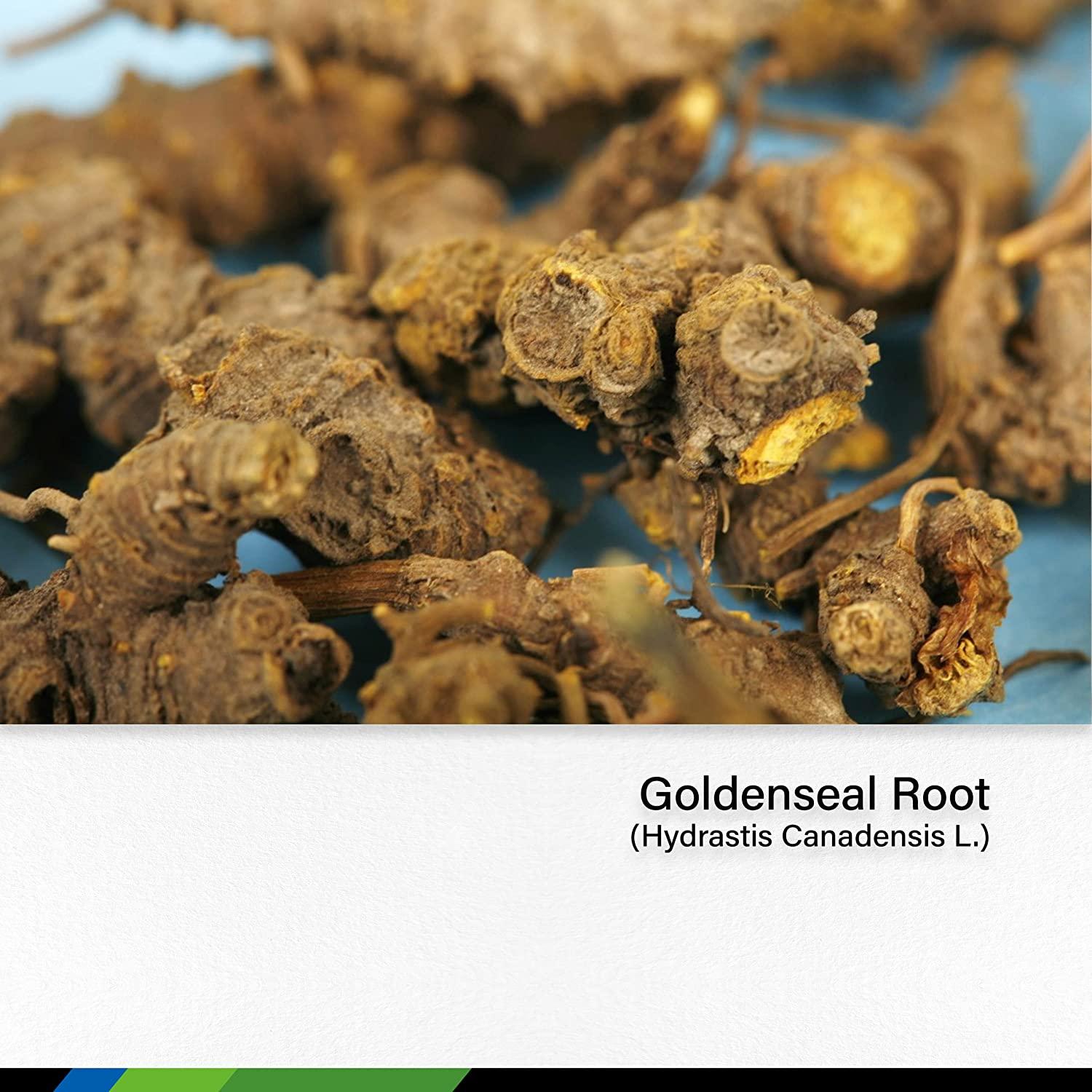 Goldenseal Capsules Digestive Support & Natural Allergy Relief