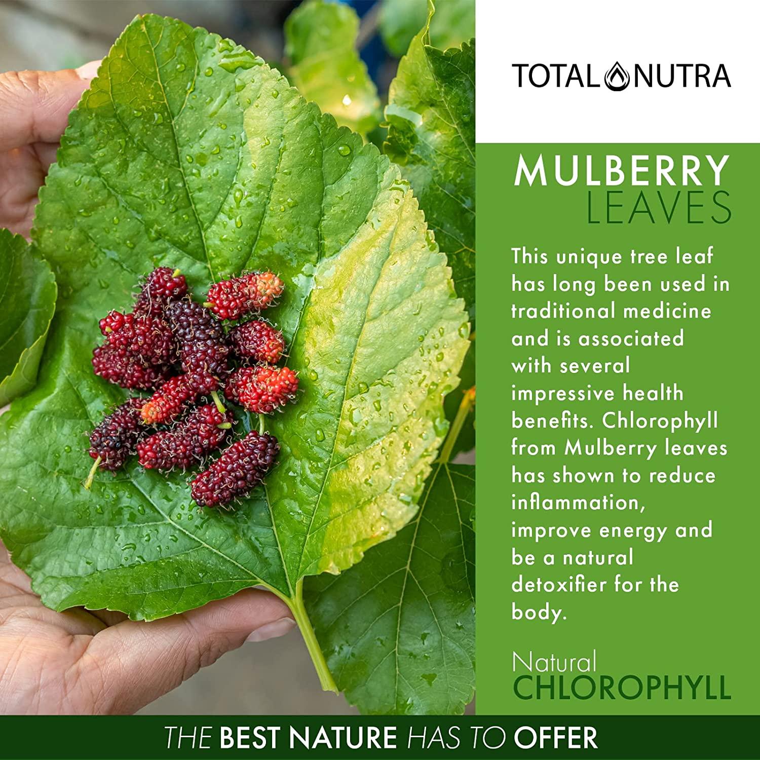 Mint Flavored Liquid Chlorophyll Drops Total Nutra Vegan Chlorophyll