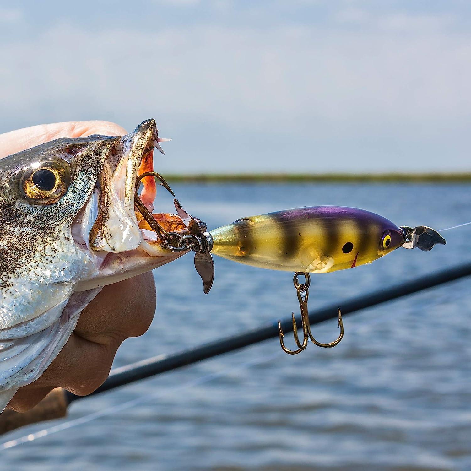 Cotton Cordell Crazy Shad 3 3/8oz Topwater Fishing Lure - Bluegill | Buy Now with Express International Delivery | GoSupps.com Cotton Cordell Crazy Shad 3 3/8oz Topwater Fishing Lure - Bluegill | Buy Now with Express International Delivery | GoSupps.com