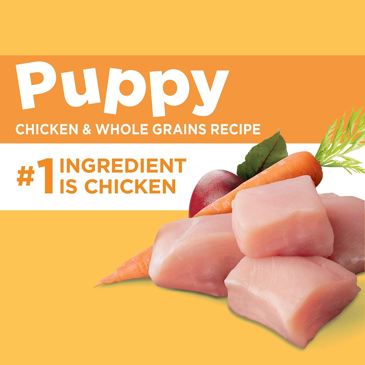 Iams Puppy Dry Dog Food Chicken 15 lb - All Breed Sizes, Medium Breed | Buy  Now with Express International Delivery | GoSupps.com