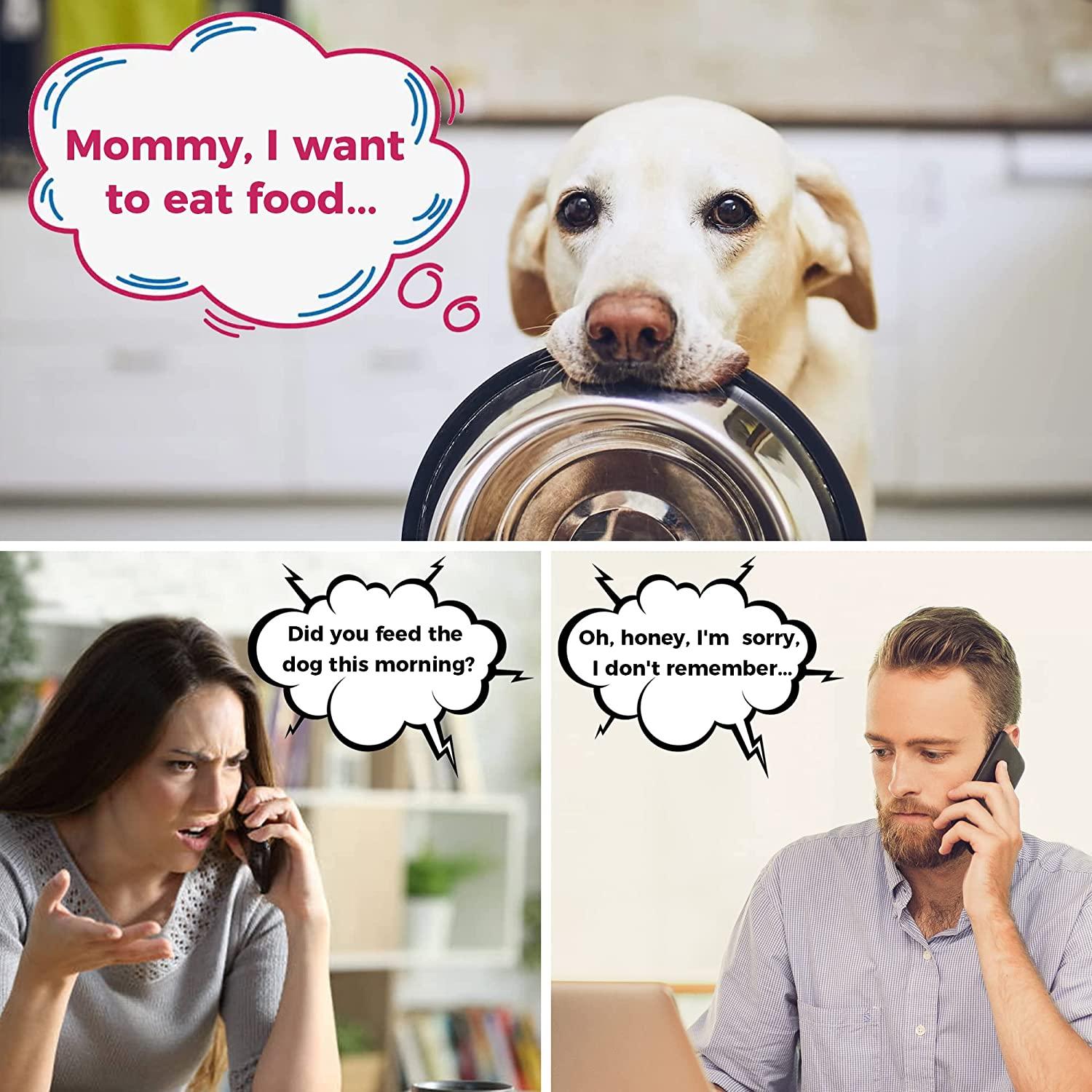 Allinko Dog Feeding Reminder Magnetic Reminder Sticker, AM/PM