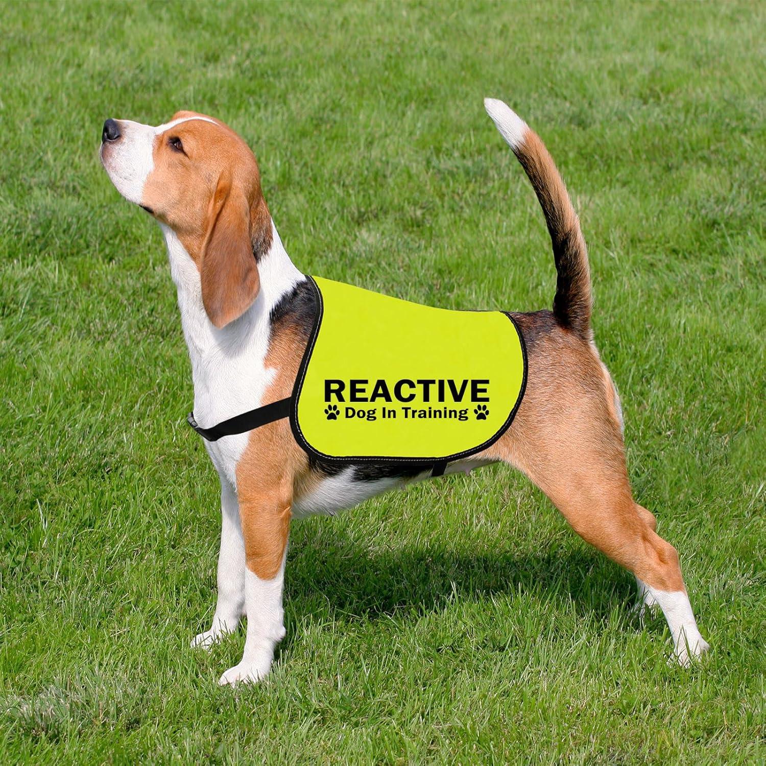 Dog Harness Dog Reactivity Training Cenwa Reactive Dog Jacket