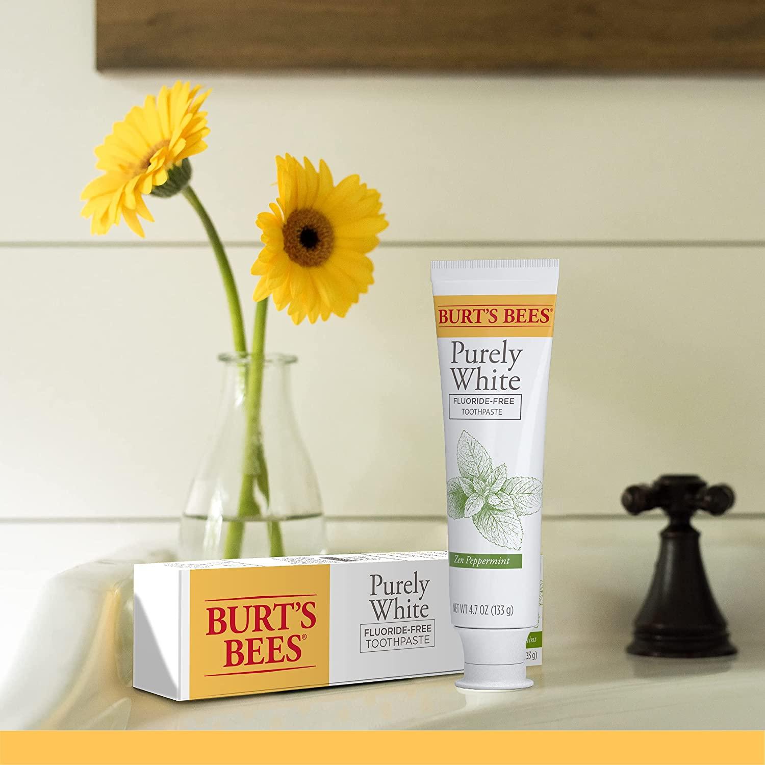 Burt's Bees FluorideFree Toothpaste 4.7 oz (Pack of 3) Natural