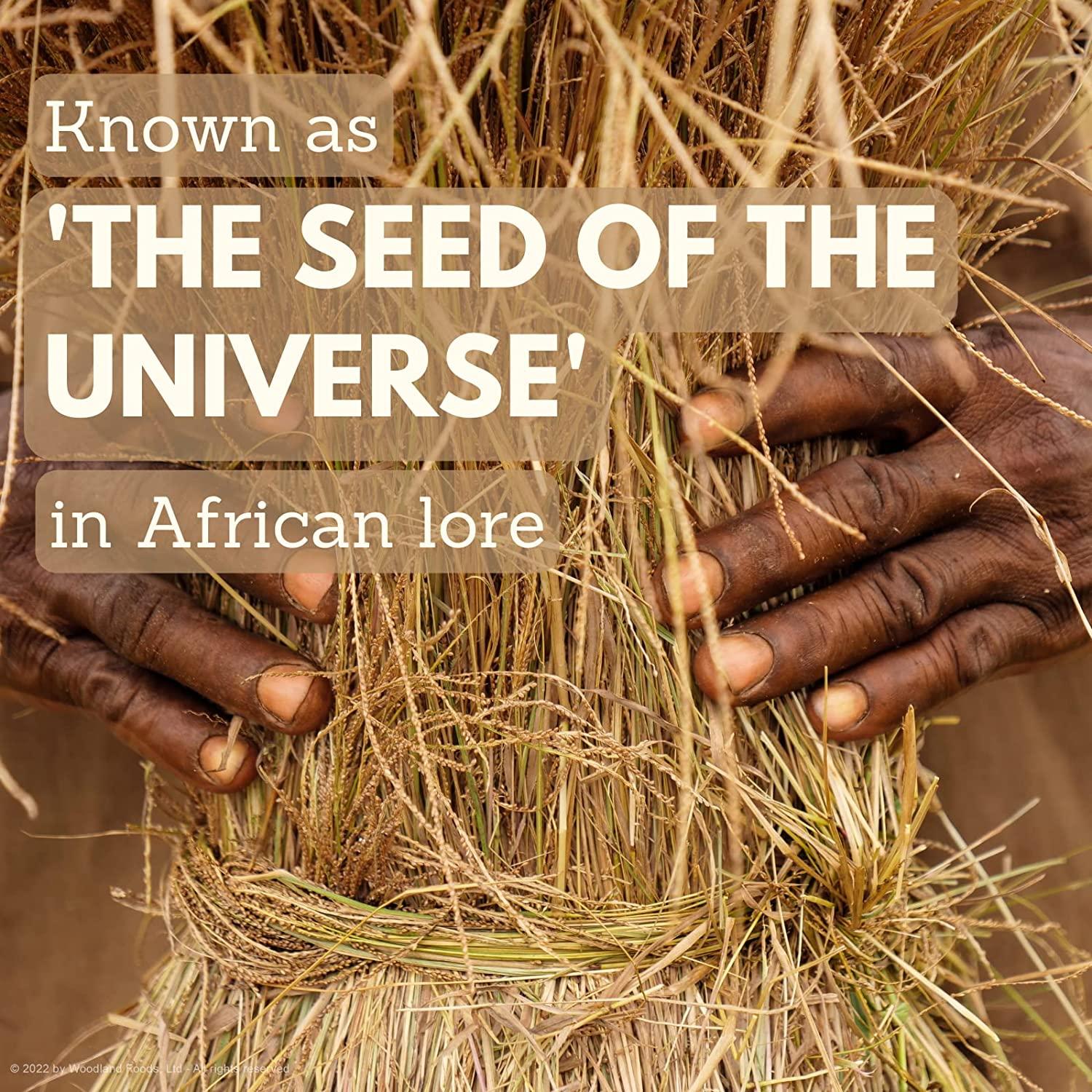 Shipetaukin Fonio African Supergrain A Quick Cooking Whole Grain