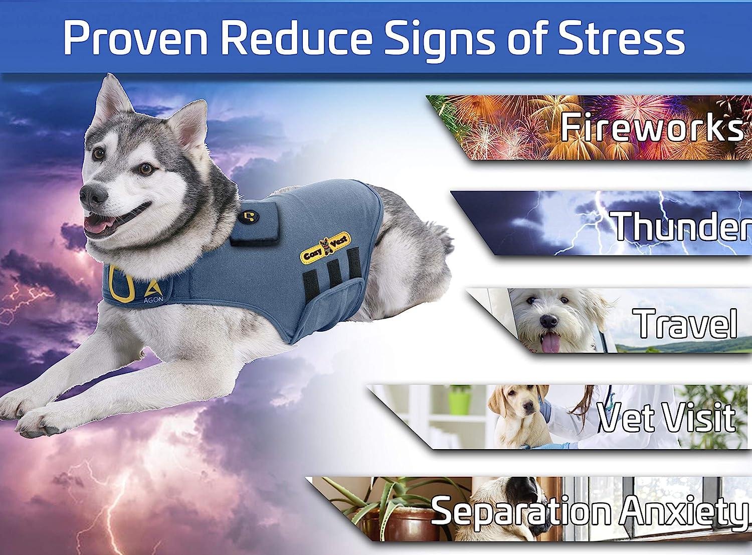 Vest for dogs scared of top thunder