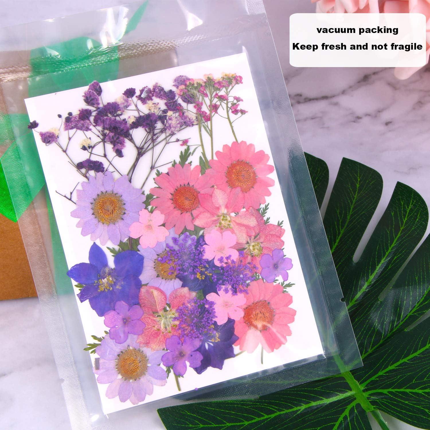 Pressed Flowers Mixed Pack for Crafts, Pressed Flower Art, Dried