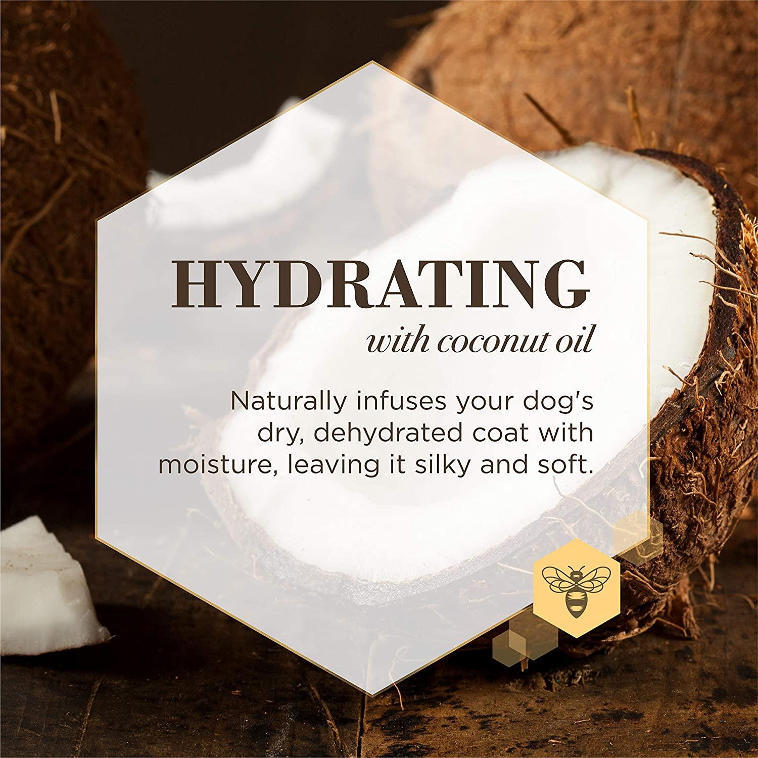 GoSupps Burt s Bees Care Plus Hydrating Waterless Shampoo