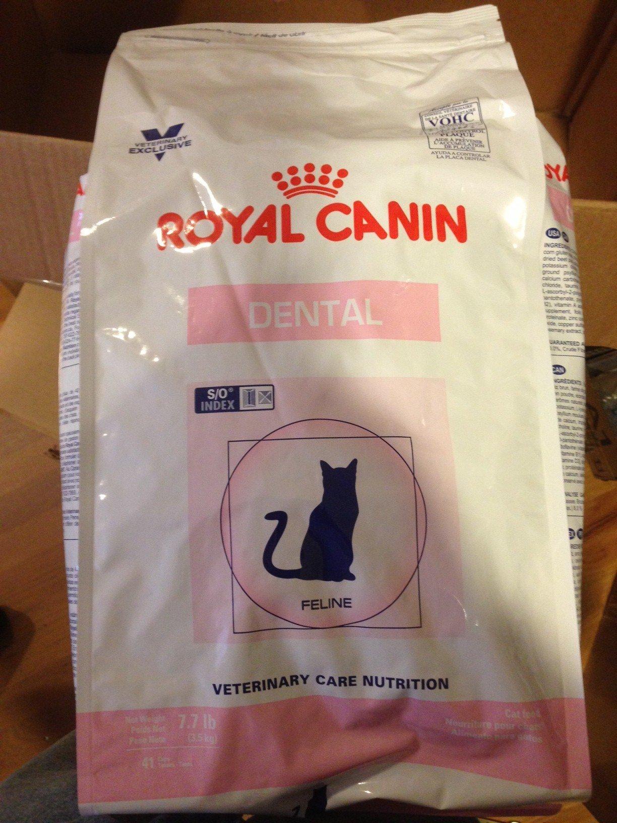 Royal Canin Feline Dental Cat Food Dry 7.7 Pound Bag (3.5 kg) For Cats