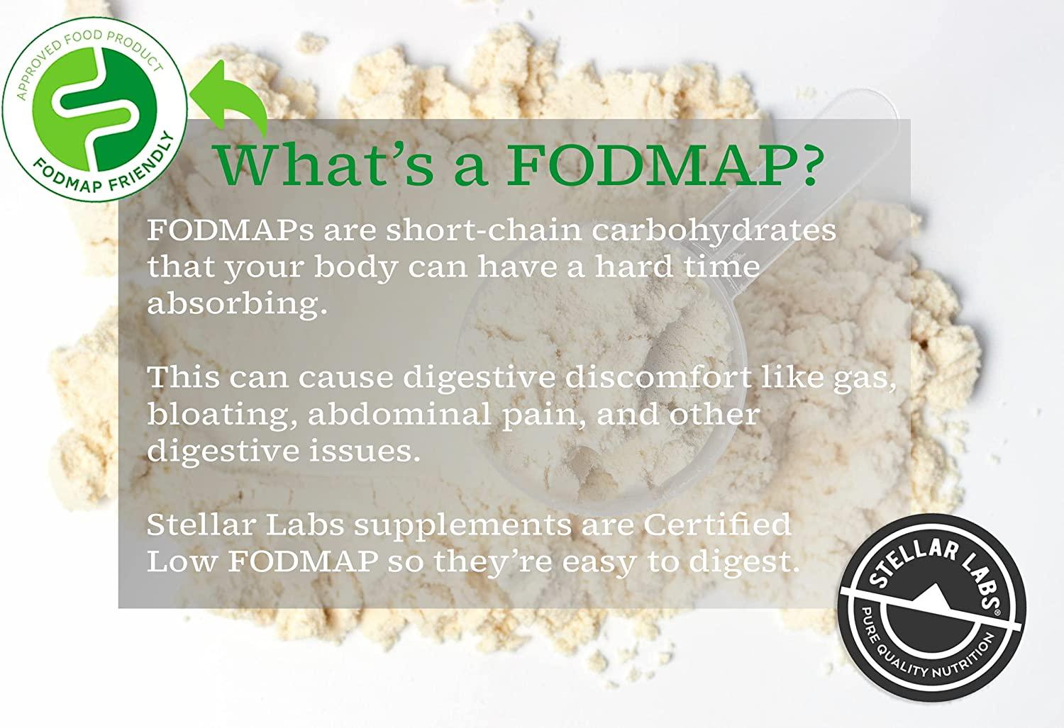 Stellar Labs Whey Protein Powder with BCAA's & Whey Isolate Certified