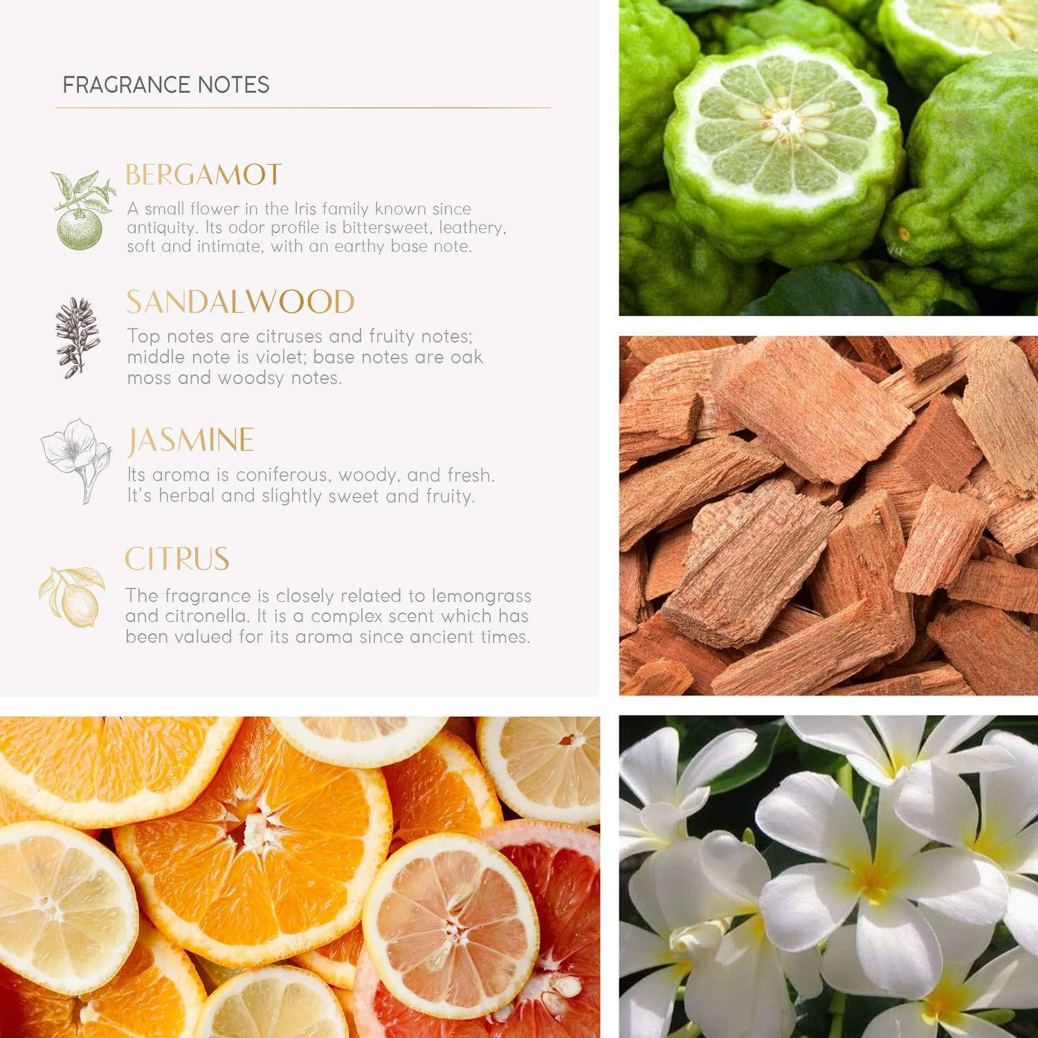 THEORIE Anti Microbial Hand Soap 1.5L Refill Pack Hydrating