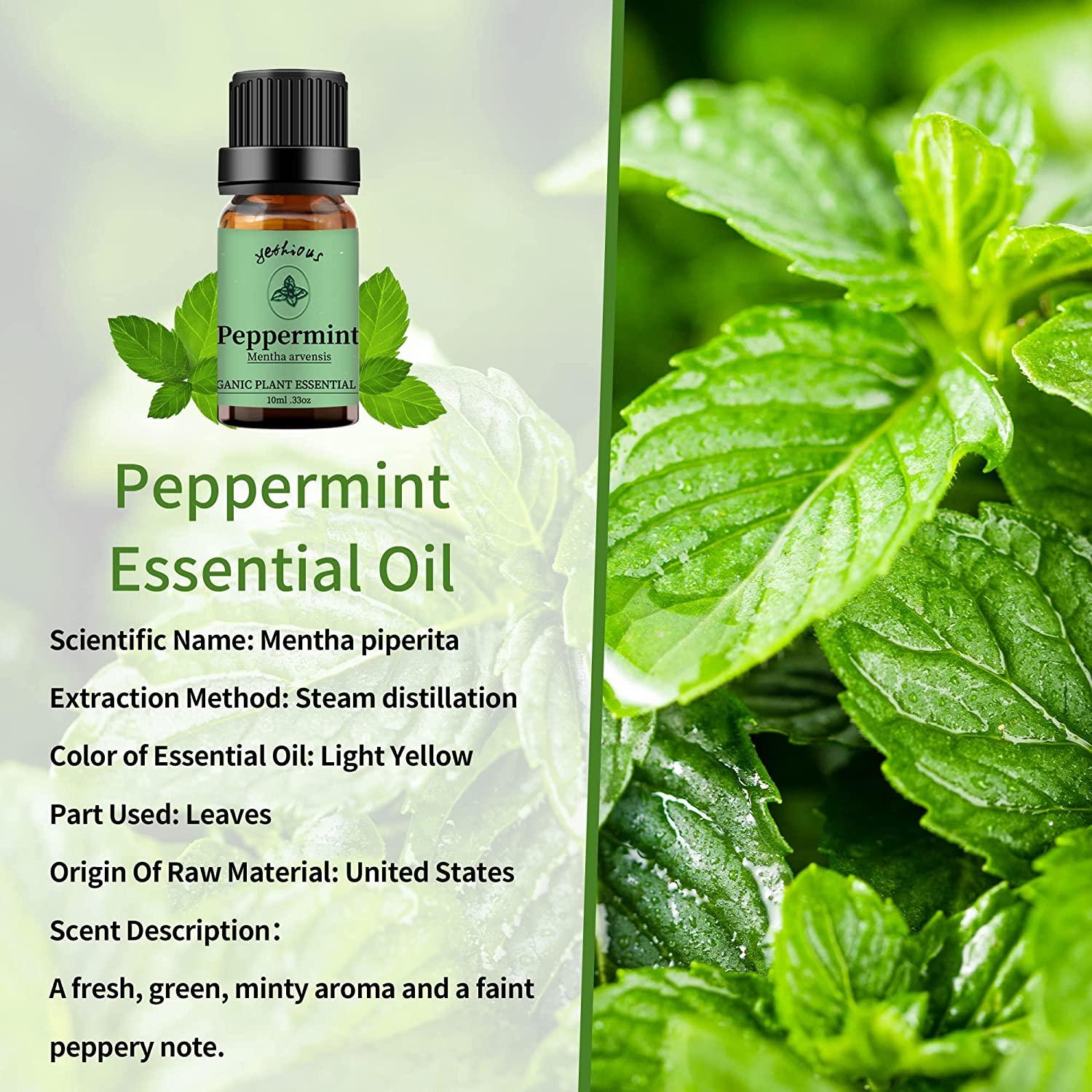 yethious 2 Pack 100 Pure Lavender Peppermint Essential Oil Set Organic