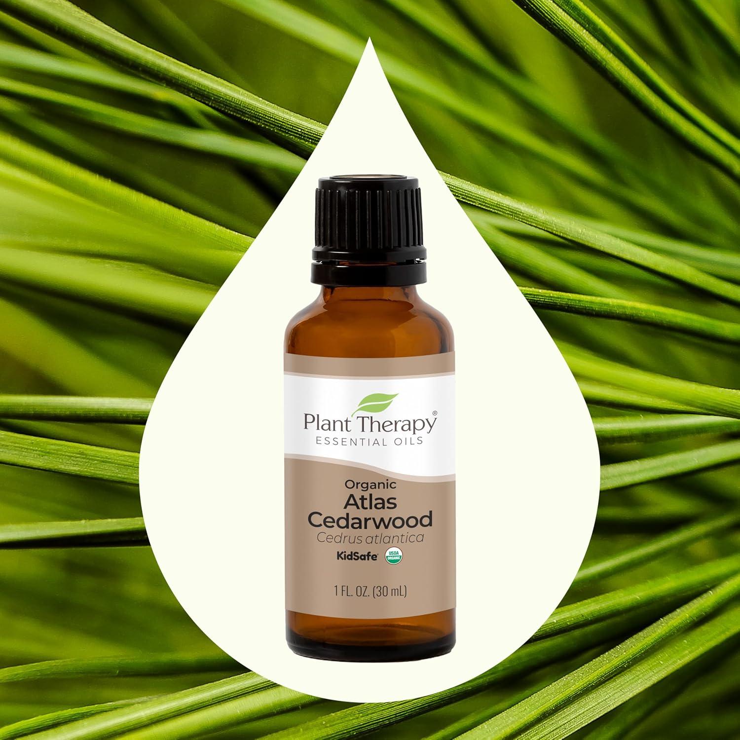 Plant Therapy Cedarwood Atlas Essential Oil - 100% Pure Therapeutic Grade 10 ML