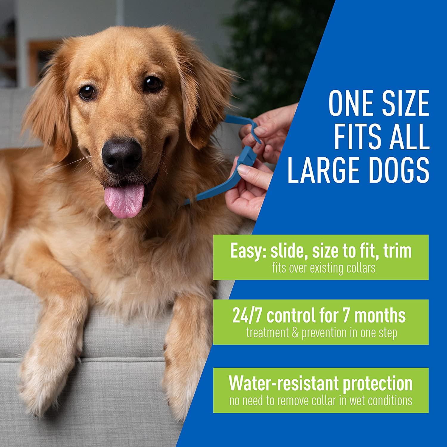 Adams Plus Flea & Tick Collar for Large Dogs & Puppies 7Month