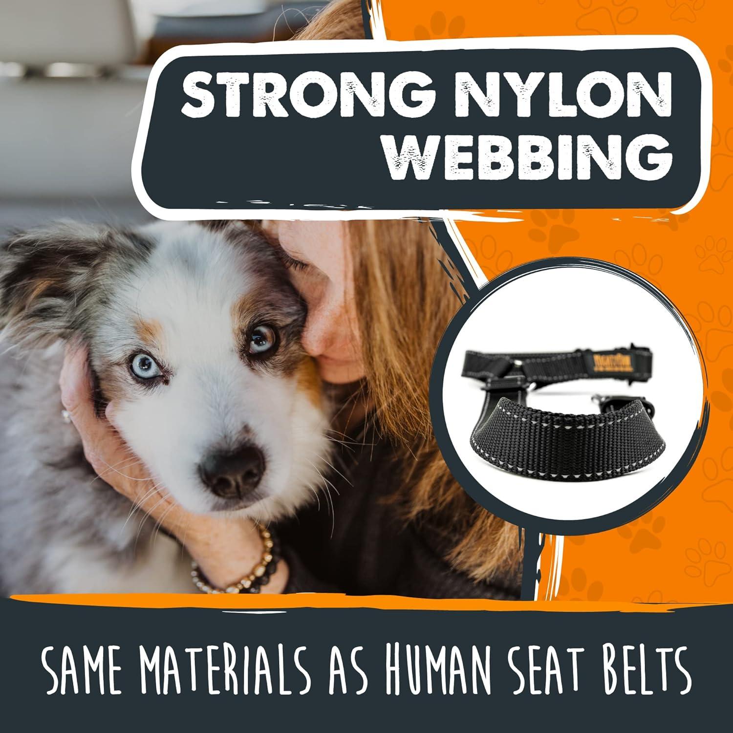 mighty paw dog seat belt