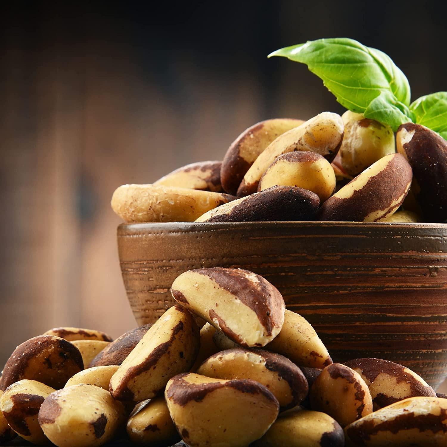 The Amish EcoFarm Medium Brazil Nuts 2 Lbs Raw, Fresh, Vegan & Keto