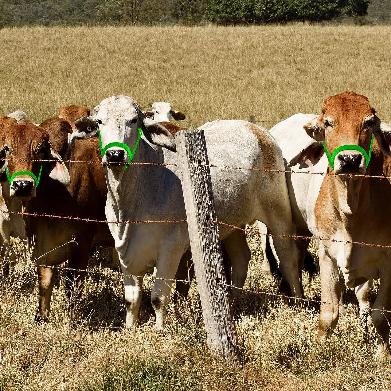 Nylon Livestock Cattle Halters Adjustable Weaver Chin and Throat Snap