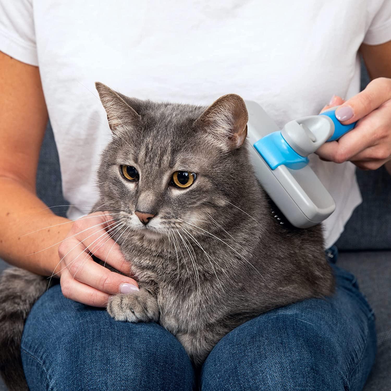 Freshly Bailey Best Dematting Brush For Cats For Cats Freshly