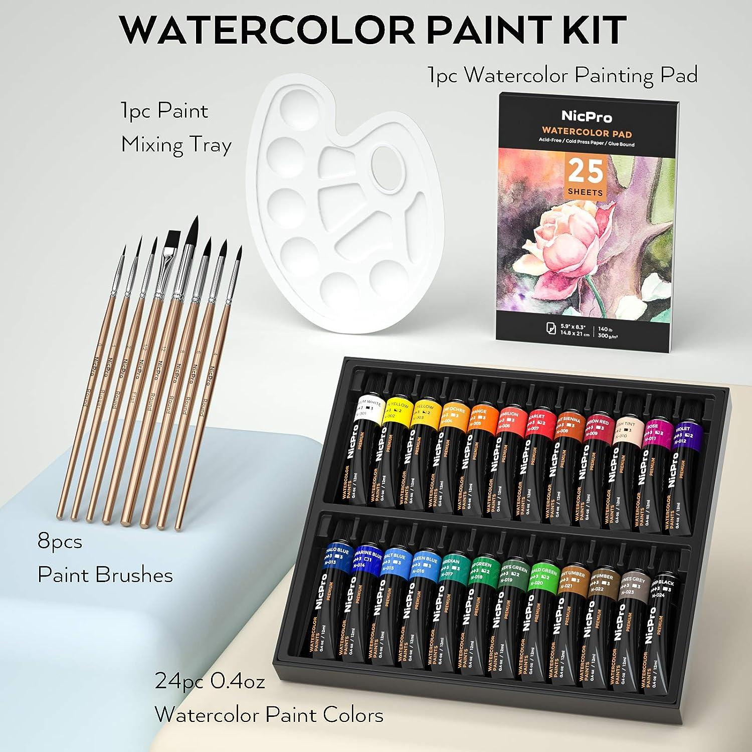 39 Colors Pouring Paint Kit, Ready to Pour Acrylic Paint Supplies