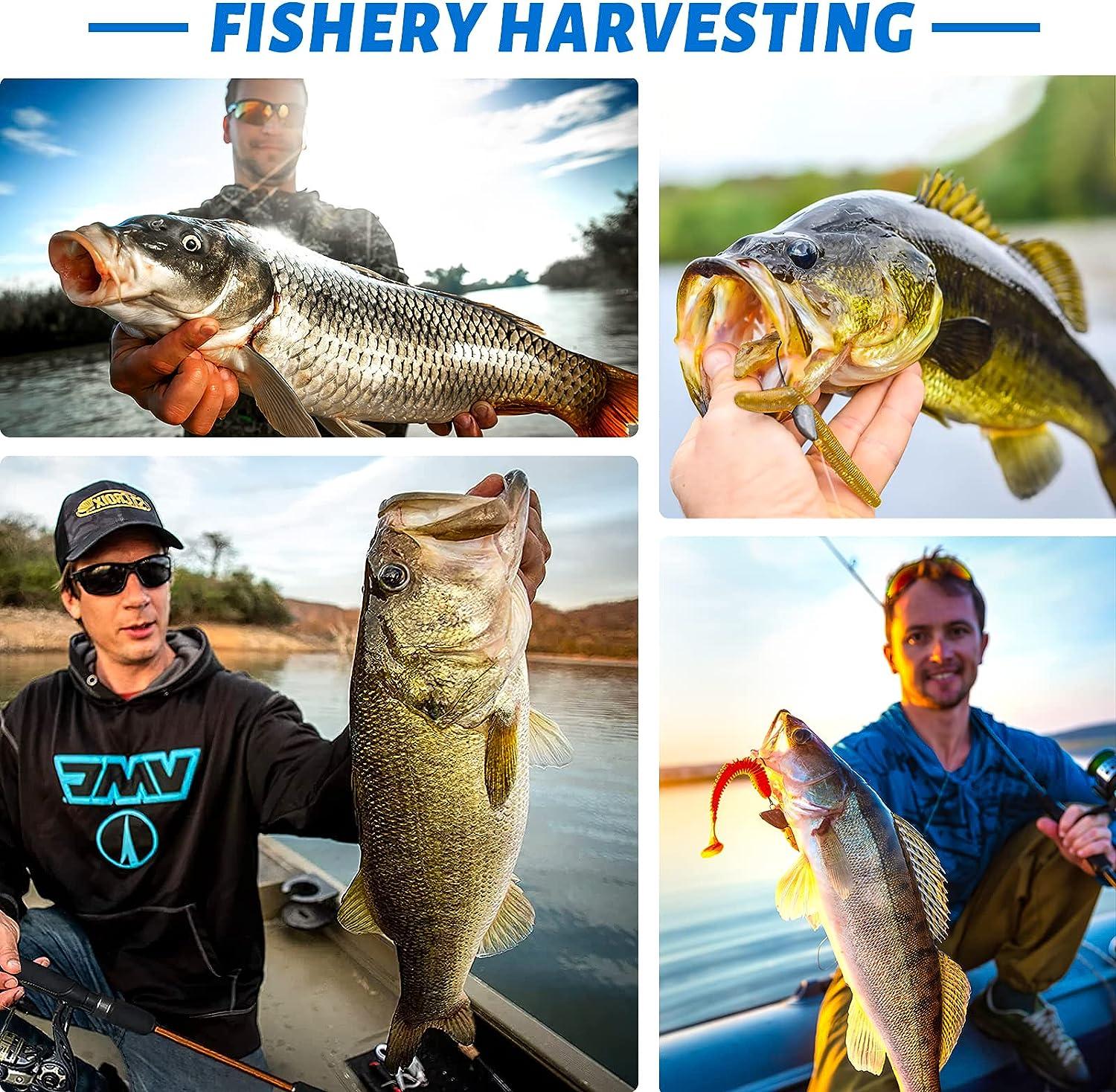 angler bass fishing essentials