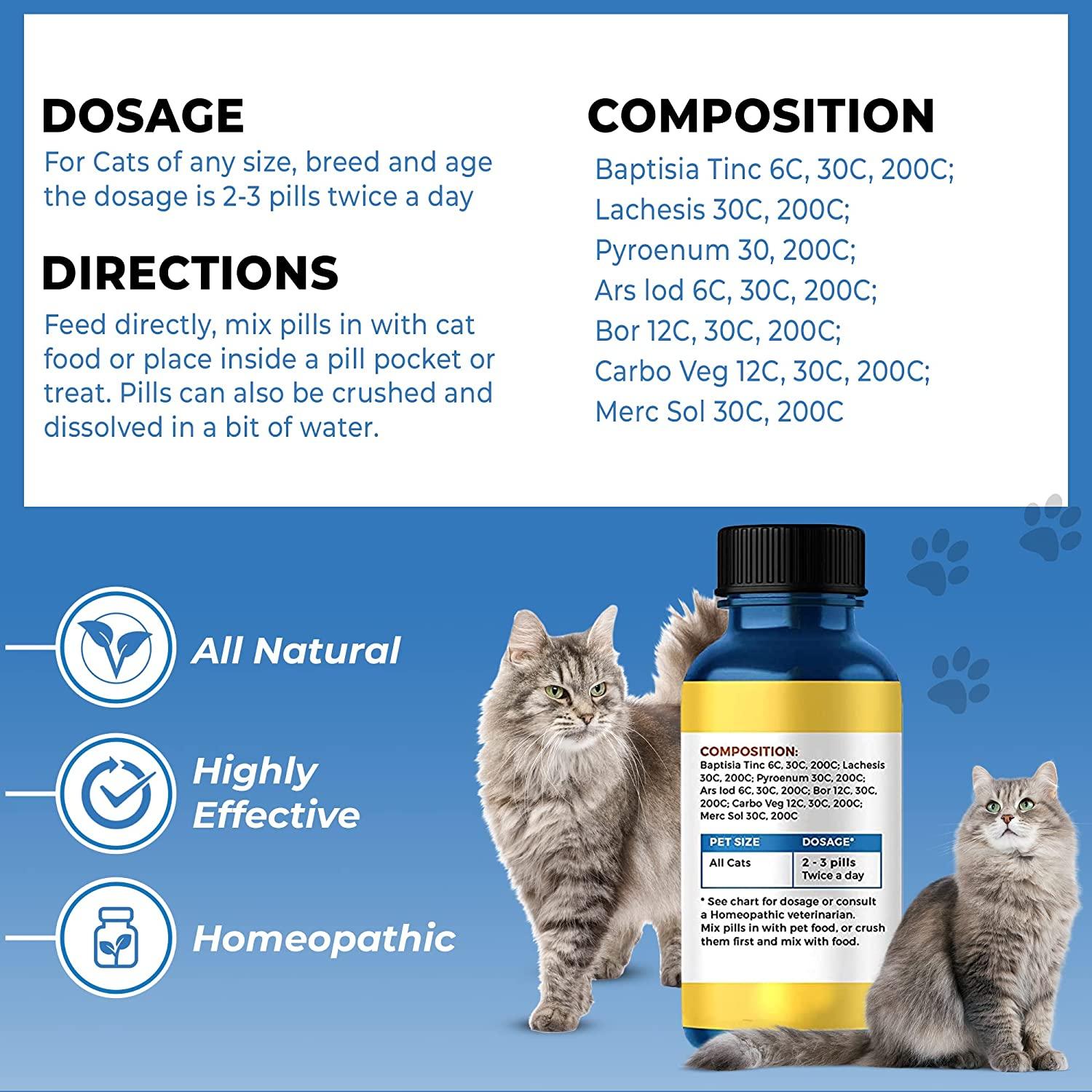 Immunity Boost for Cats Supplement Helps Your Feline's Respiratory and Digestive System Fight