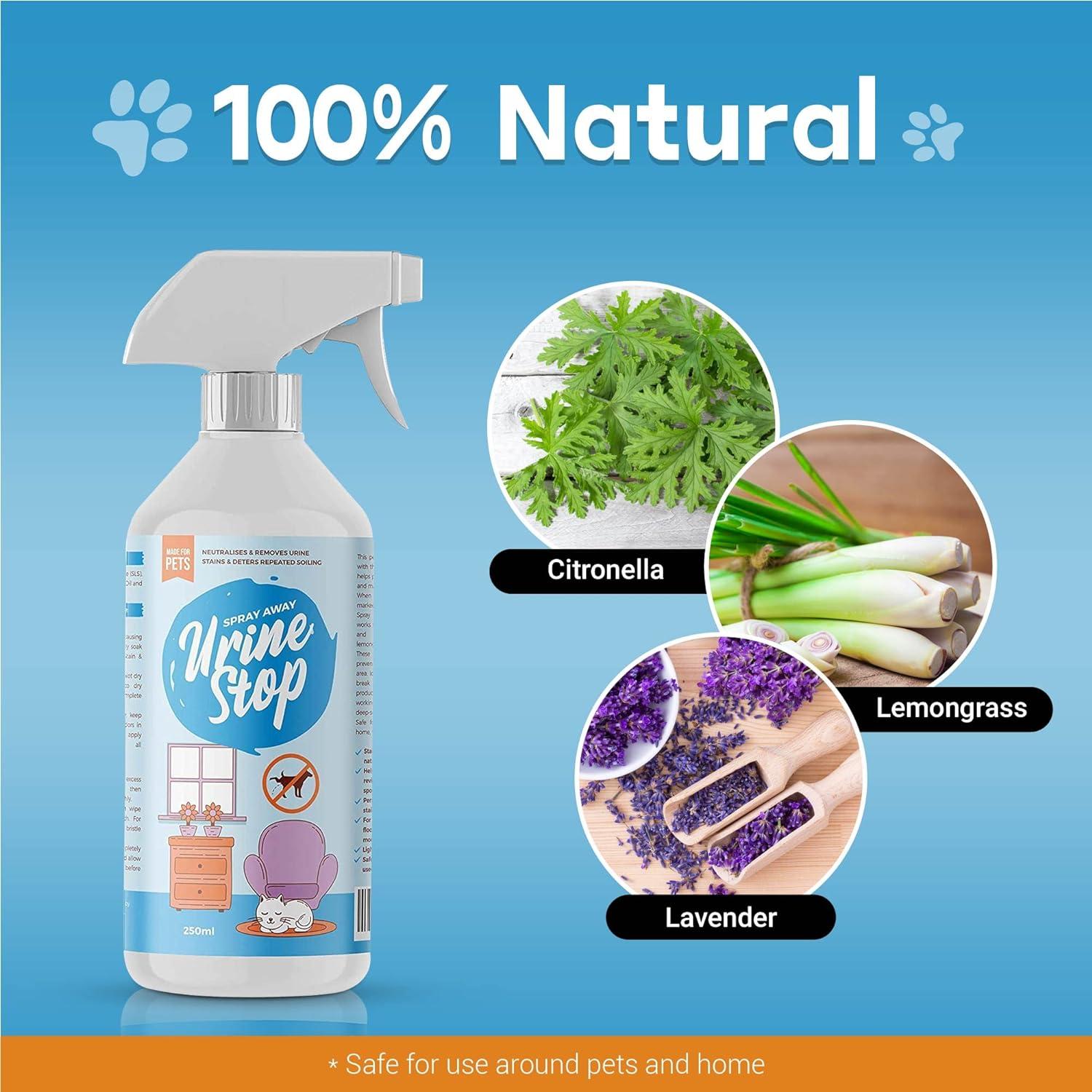 Buddy Best Pet Urine Stain And Odor Remover Out 32 Oz Advanced