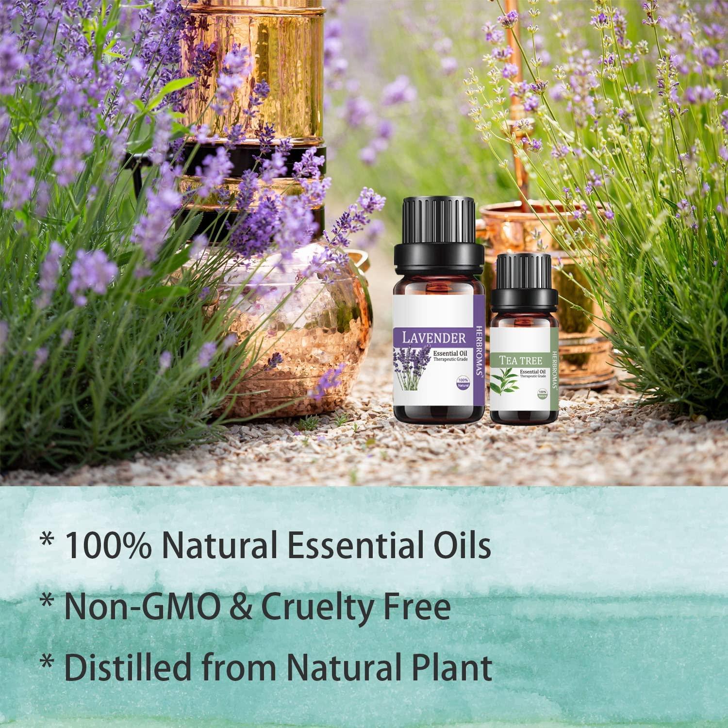 Essential Oil Set by HERBROMAS - Top 16 Natural Aromatherapy Essential Oils  for Candle Making, DIY Soap Making, Diffusers, Humidifiers