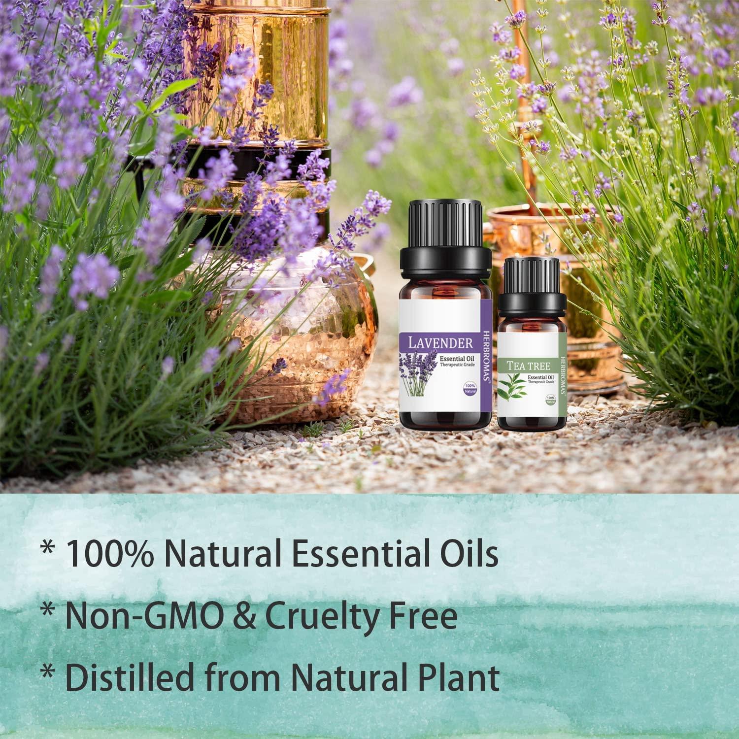 dōTERRA Home Essentials Kit || Essentiële olie || Wierook & Mirre