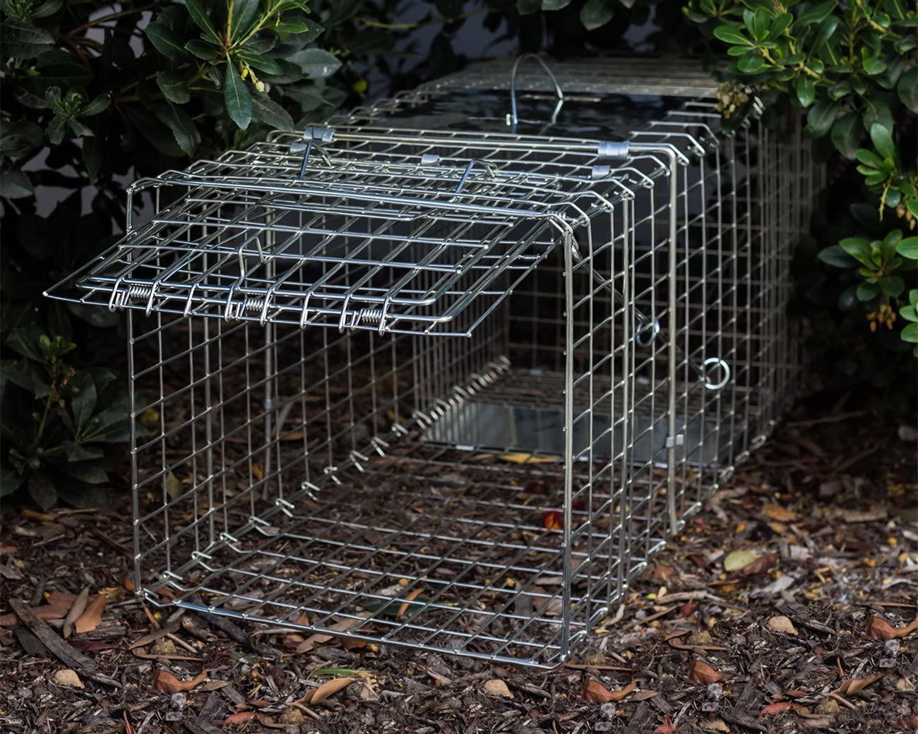 OxGord Live Animal Trap Humane Catch & Release Large 32" Cage Best