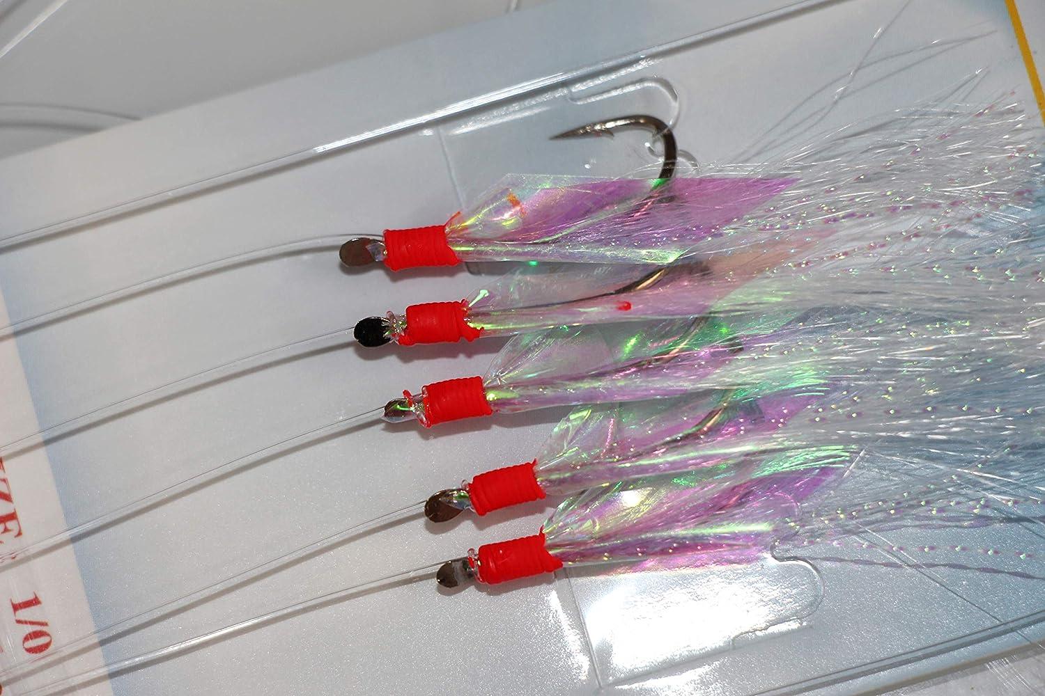 10 Packs Sabiki Rigs Fishing Flasher Lures Bait Rigs Fish Skin, Glow  Fishing Beads High Carbon Hooks for Freshwater/Saltwater 10packs