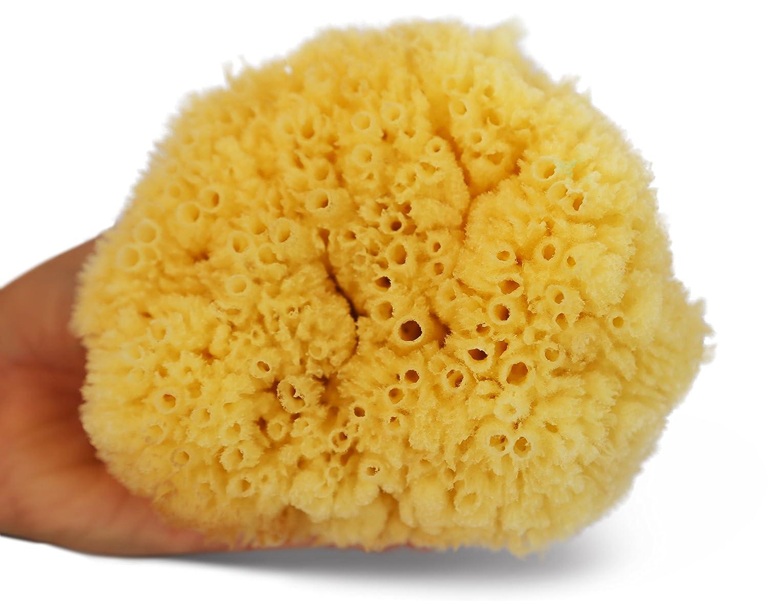 Real Natural Sea Sponges Multipack - 5pc Spa Gift Set in Premium Bag, Kind  on Skin, For Bath Shower Facial Cleansing, Pamper Moms Brides Girlfriends 