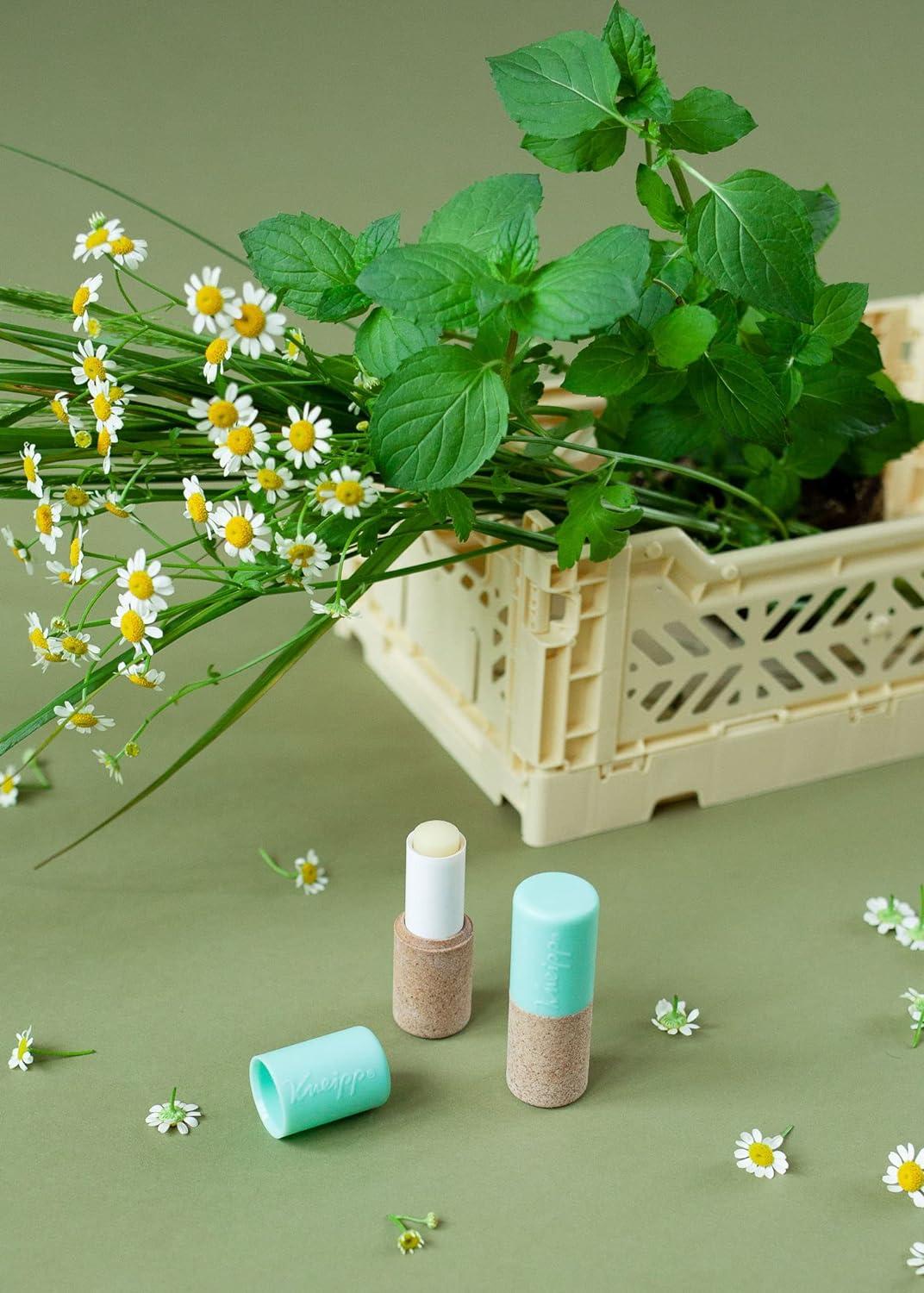 Kneipp Lip Care Water Mint & Aloe Vera Hydro 4.7g - Nourishing Hydration  for Soft Lips | International Shipping Available | Buy Now with Express  International Delivery | GoSupps.com