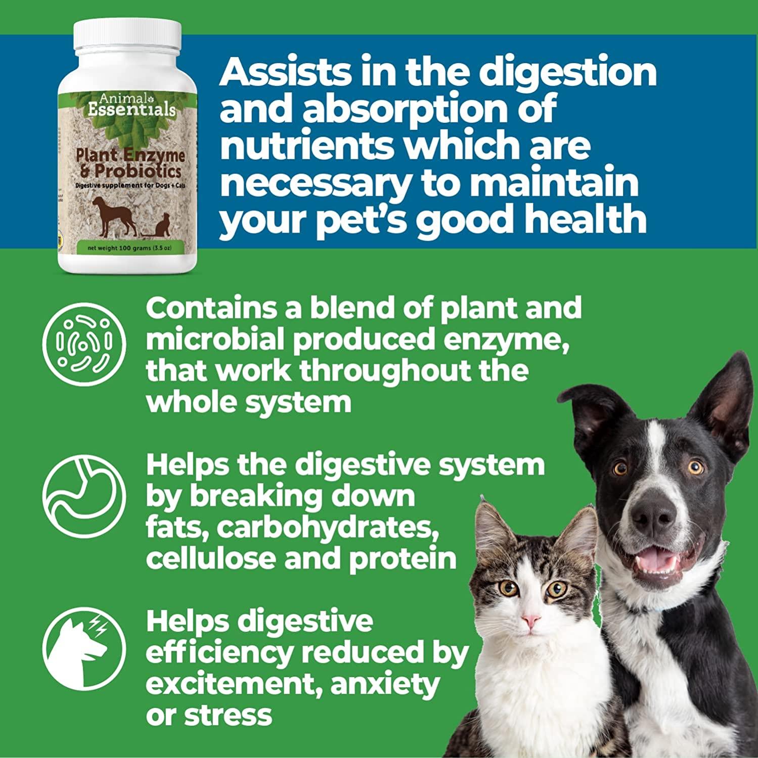 Animal Essentials Plant Enzyme & Probiotics For Dogs + Cats  oz (300 g)