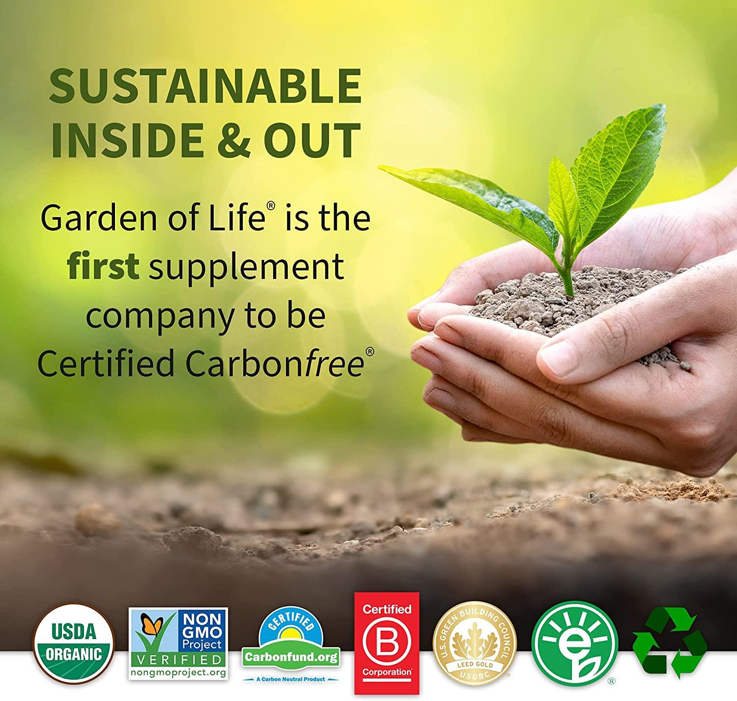 GoSupps Garden of Life Raw Organic Perfect Food Green