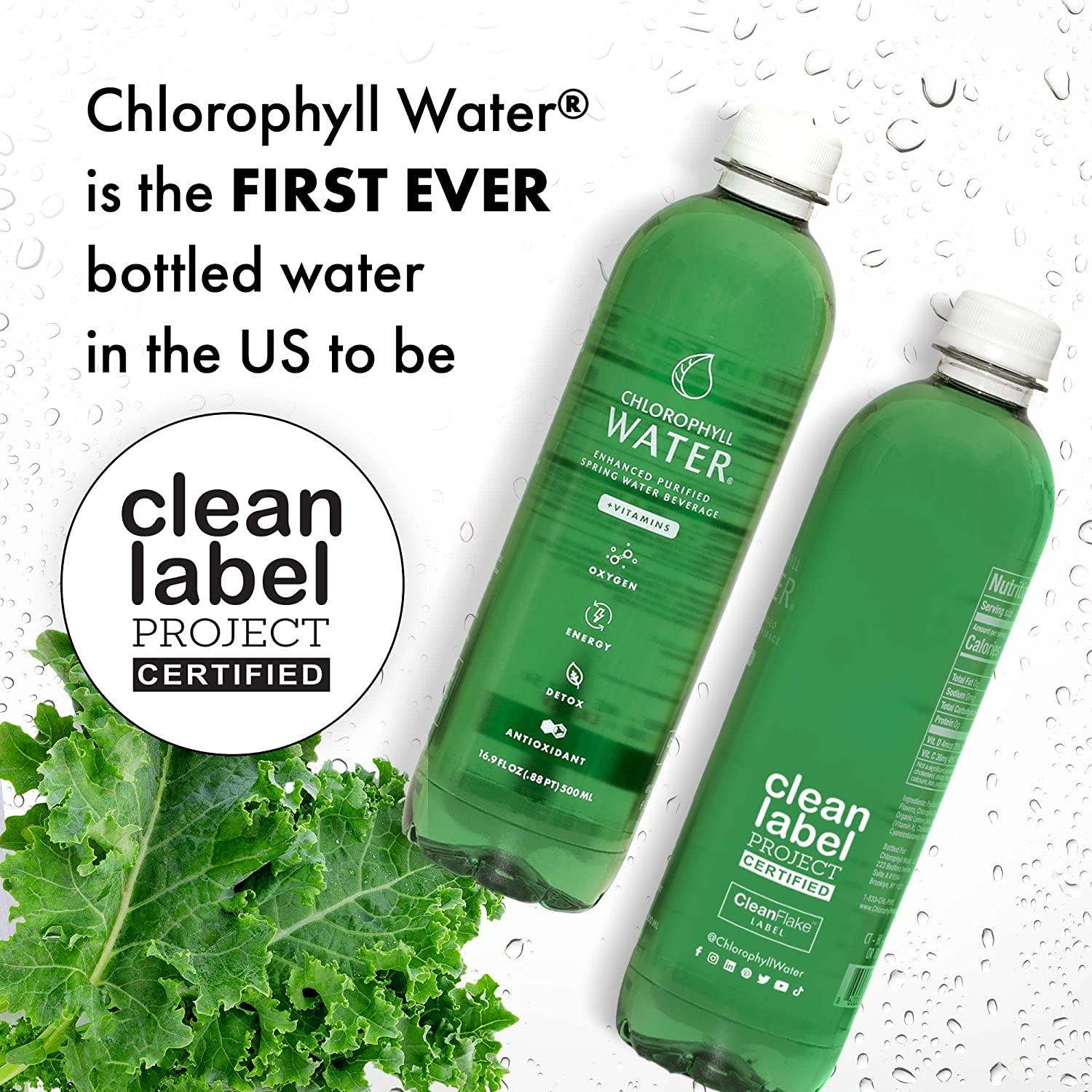 Chlorophyll Water Purified Mountain Spring Water w/ Liquid Chlorophyll