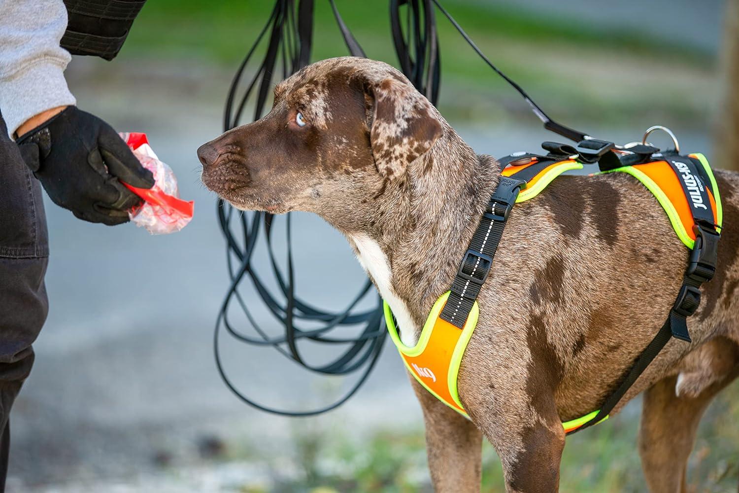 Julius-K9 Mantrailing Outdoor Dog Harness XS UV Orange with