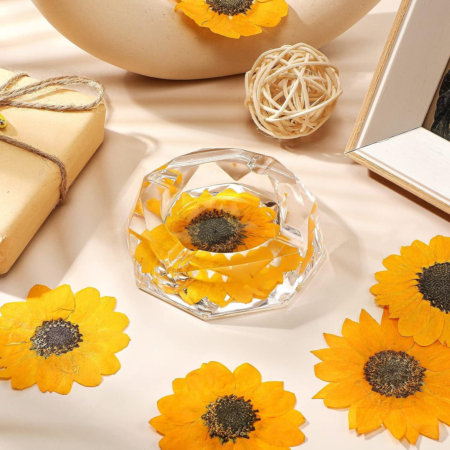 Colorful Flower Petals - Dried Yellow Calendula — Wooden Deckle Papermaking  Kits And Supplie