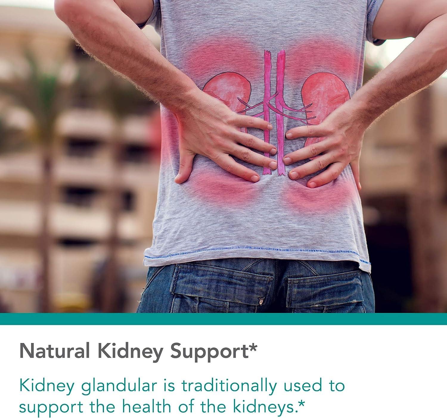 Nutricology Kidney Beef Glandular Support 100 Vegicaps