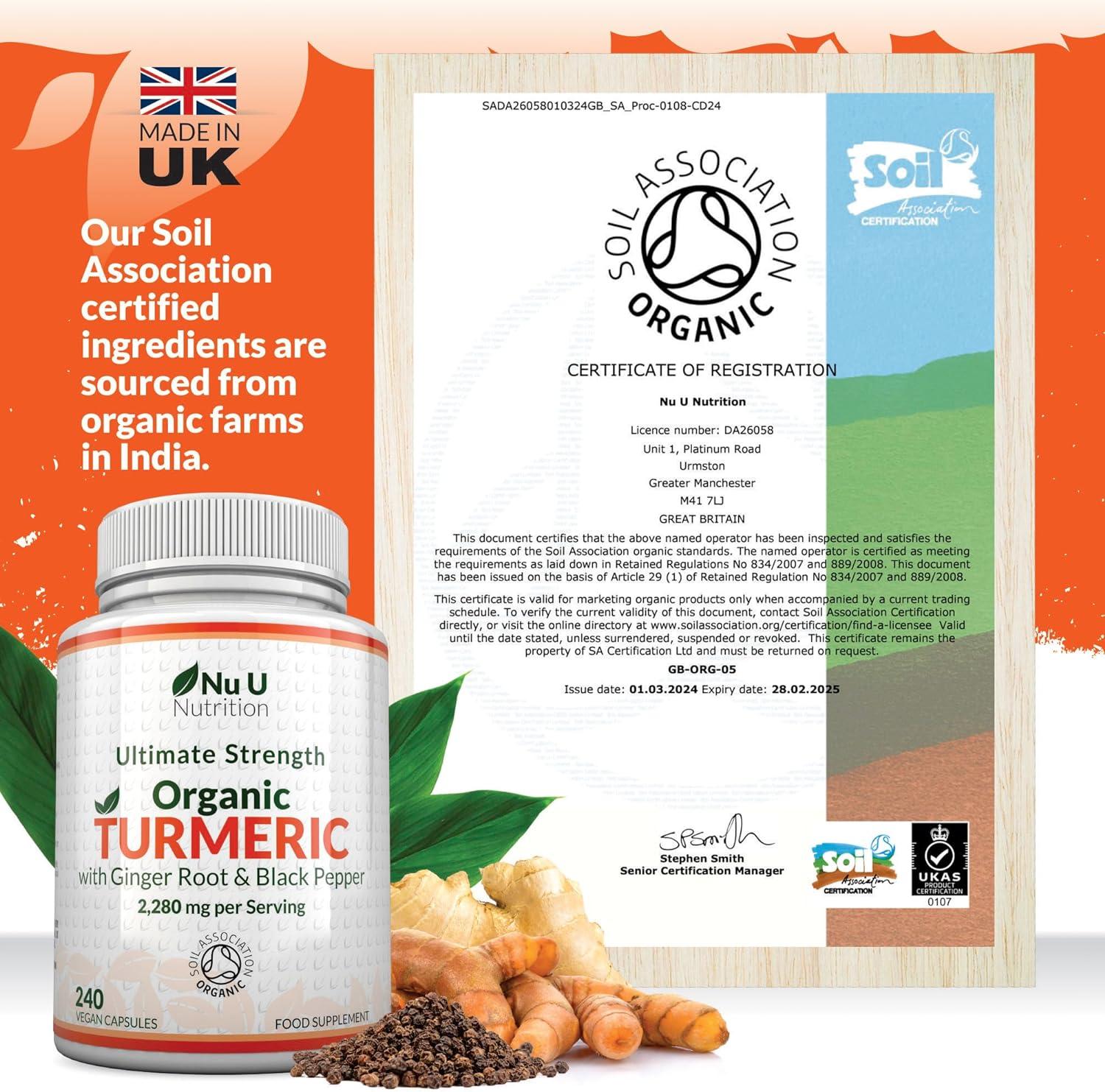 Organic Turmeric Ginger & Black Pepper 2280mg per Serving 240