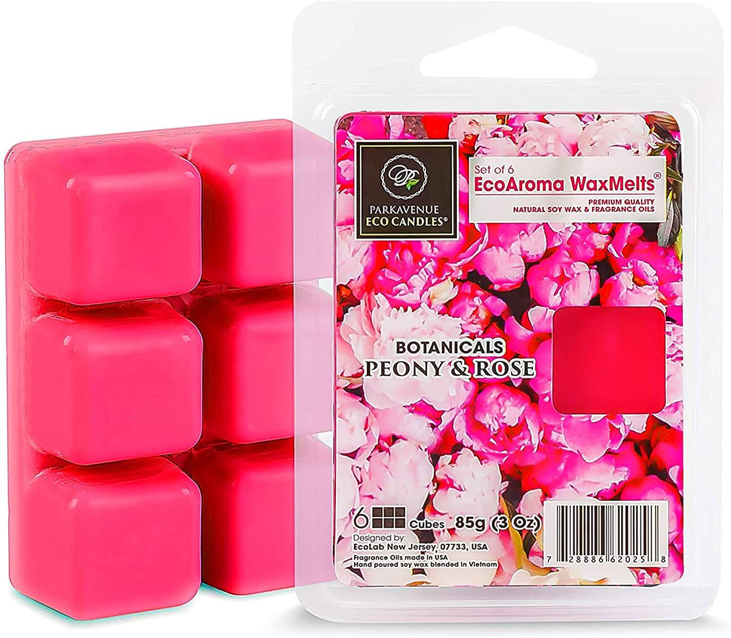 Eco Aroma Coco-Soy Candles, 6 Cubes (3 Oz Each)-Best Scentsy Wax Melts Wax  Cubes - Coconut Soy Wax Melts Candles with 100% Natural Essential Oils (2.  Sea Salt & Citrus, 2-Pack) 