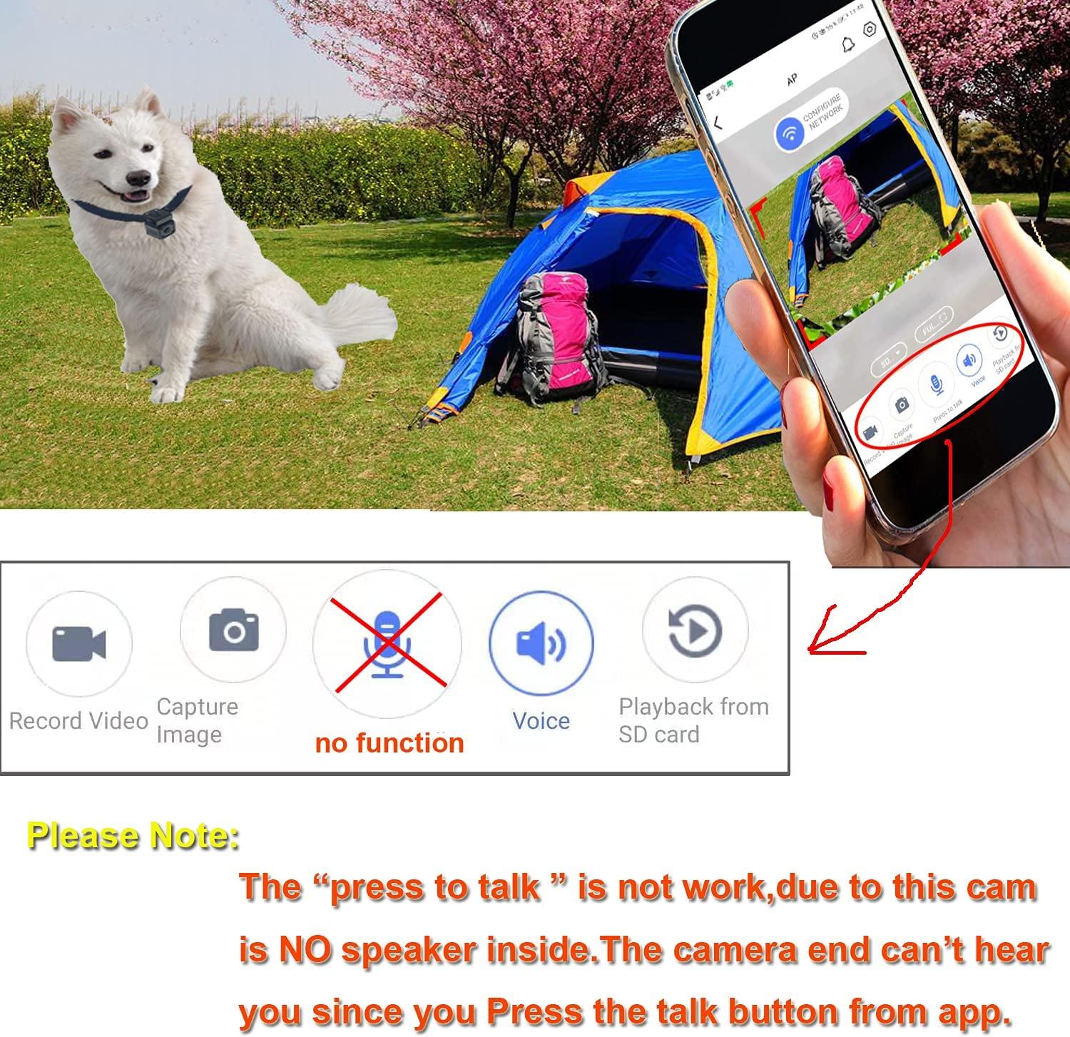 32GB Digital Pet Collar Dog Cam DVR Video Recorder with Monitor Black