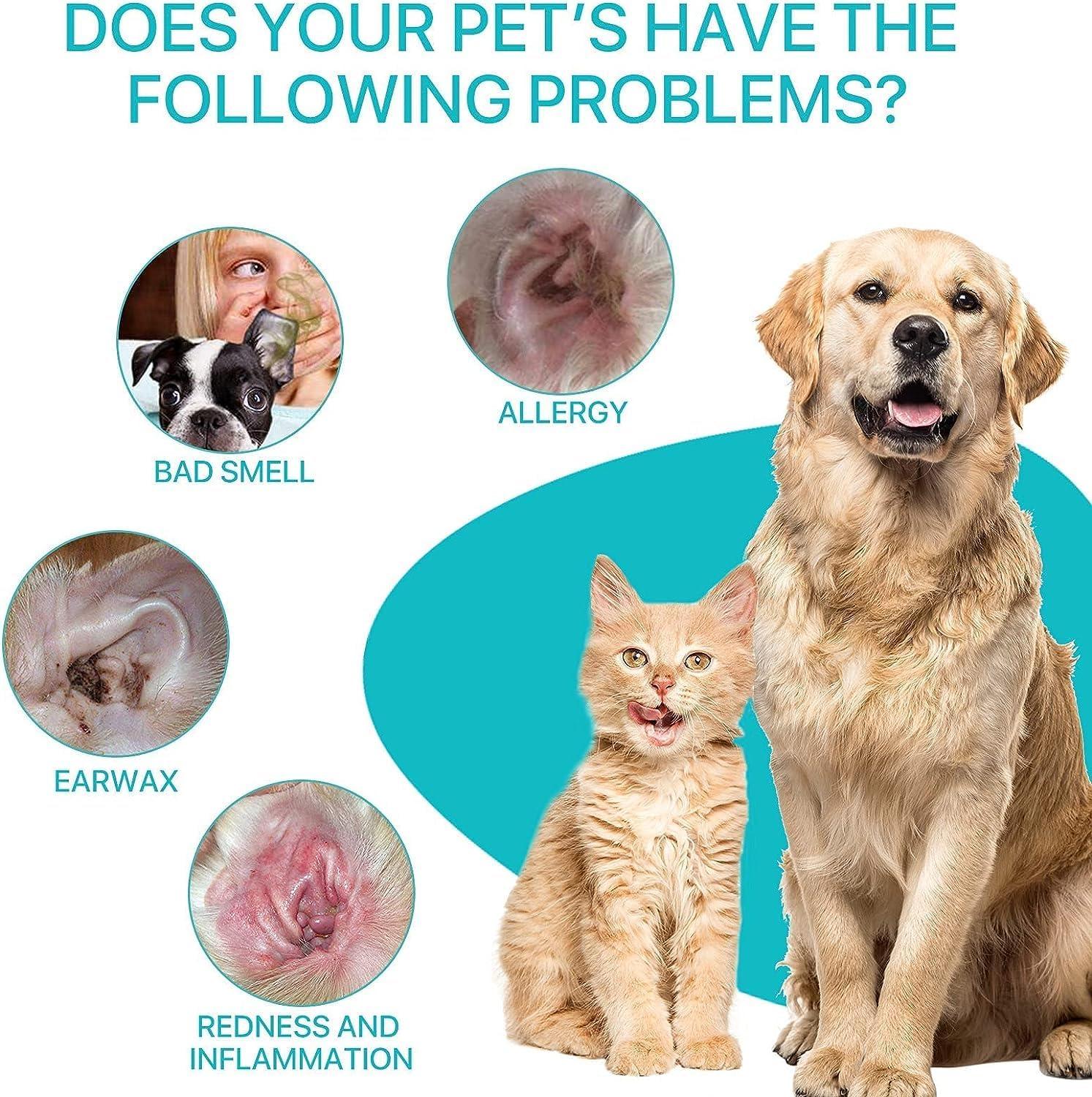 Ear Infection Cockapoo Smelly Ears Kurchugo Dog Ear Cleaner Ear