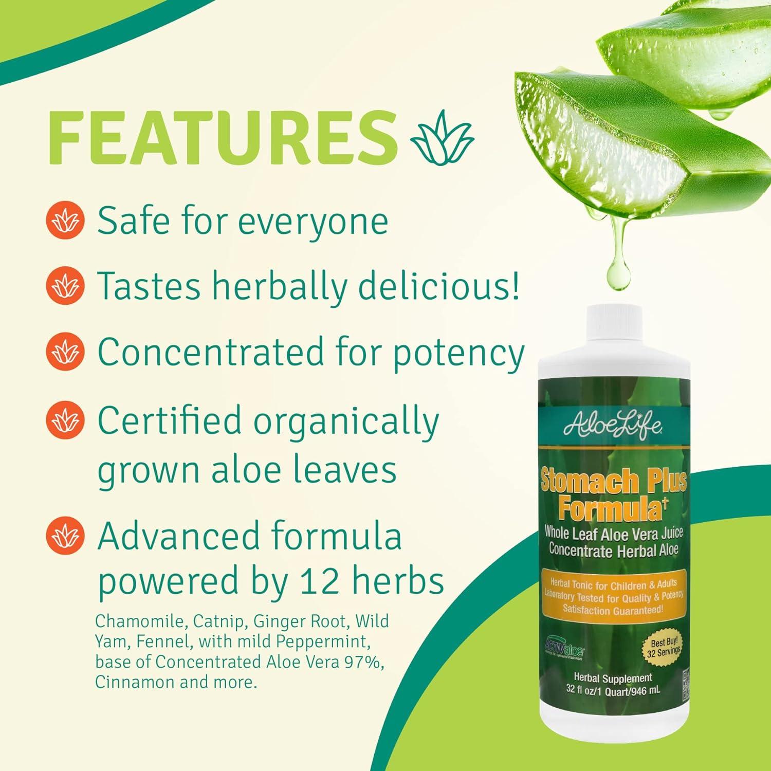 Aloe Life Stomach Plus Formula - Fast-Acting Digestive Tonic - 32oz  Concentrate - Gluten-Free | Buy Now with Express International Delivery |  GoSupps.com