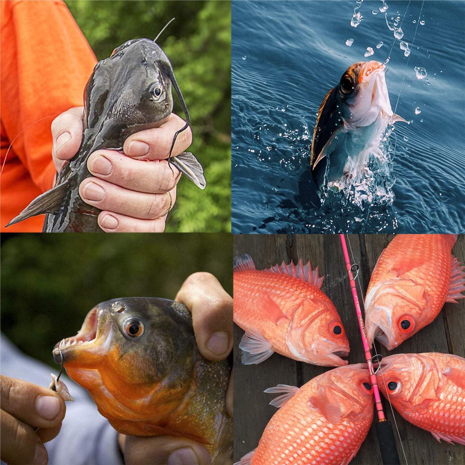 O'Shaughnessy Hooks – Kadabra Fishing