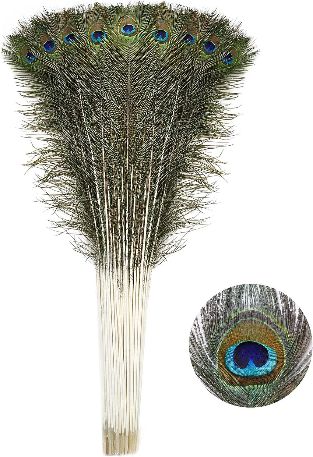 Soarer Long Peacock Feathers Bulk- 25pcs 32-35 inches Feathers for Vase  Holiday Decoration and DIY Crafts